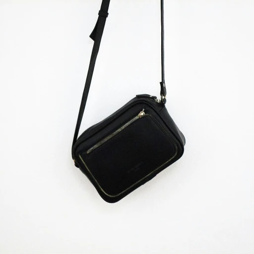 L'élégance du sac en fourrure noire